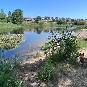 https://reumann-holiday-apartments-de-schelp.zandvoort-hotels.com